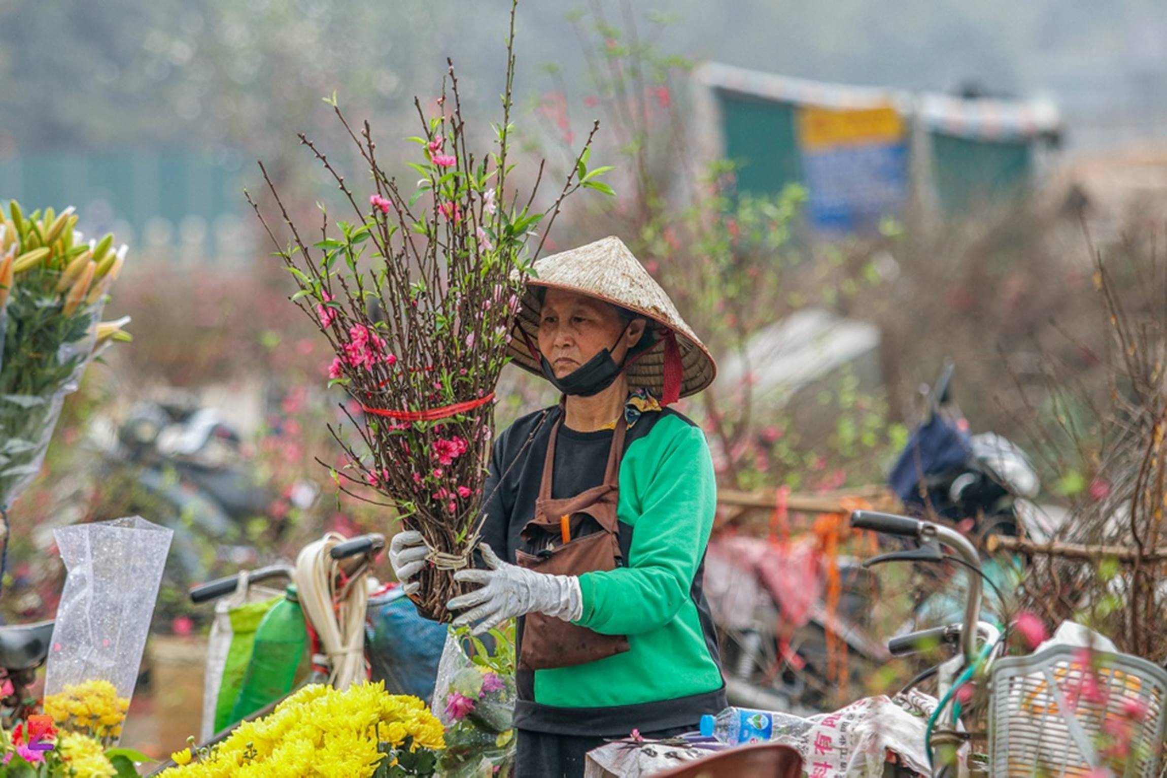Tiểu thương lỗ hàng trăm triệu, chấp nhận bán rẻ đào, quất sau Tết-5