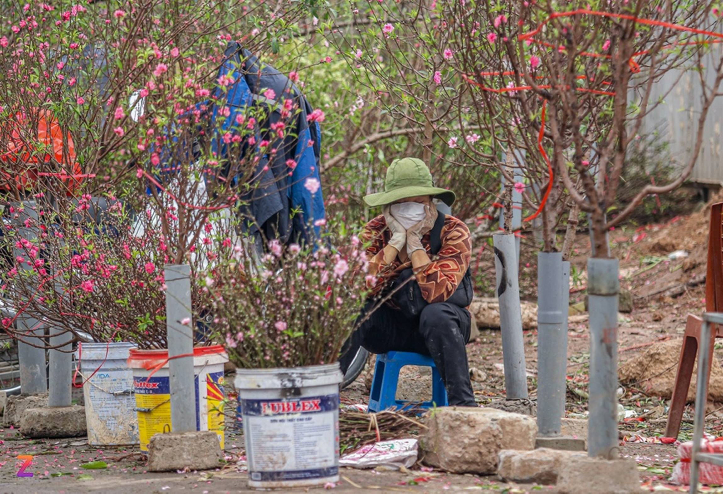 Tiểu thương lỗ hàng trăm triệu, chấp nhận bán rẻ đào, quất sau Tết-6