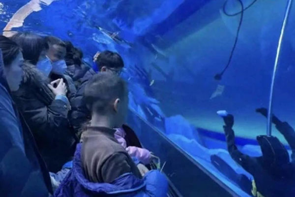 Trung Quốc: Một thợ lặn chết đuối ngay trong thủy cung, nhiều du khách đứng xem còn tưởng là hình nộm-1