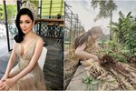 Nhan sắc trẻ đẹp tuổi U40 của 'Hoa hậu bí ẩn nhất Việt Nam', sống kín tiếng trong biệt thự ở Hà Nội