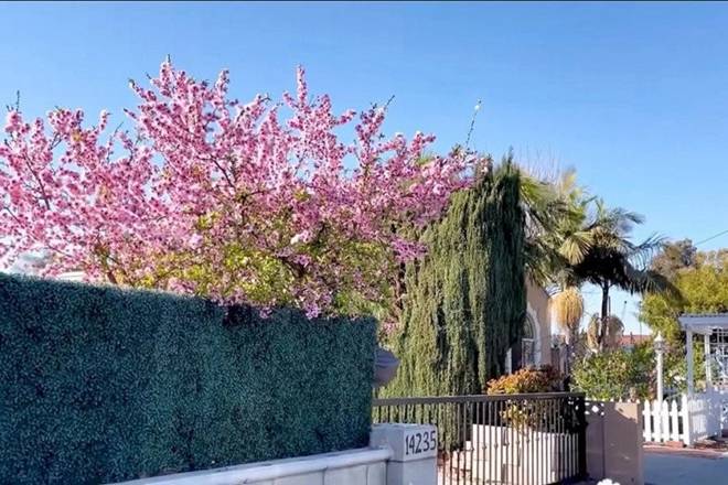 Bằng Kiều flex khu vườn rực rỡ tại biệt thự 2.000m2 của mình ở Mỹ-8