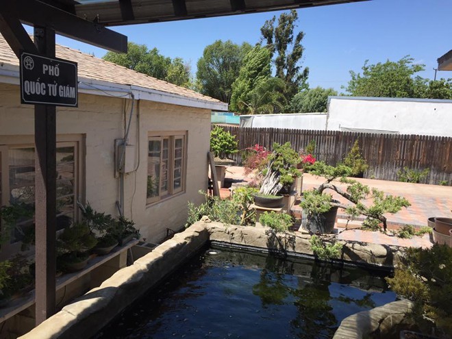 Bằng Kiều flex khu vườn rực rỡ tại biệt thự 2.000m2 của mình ở Mỹ-10