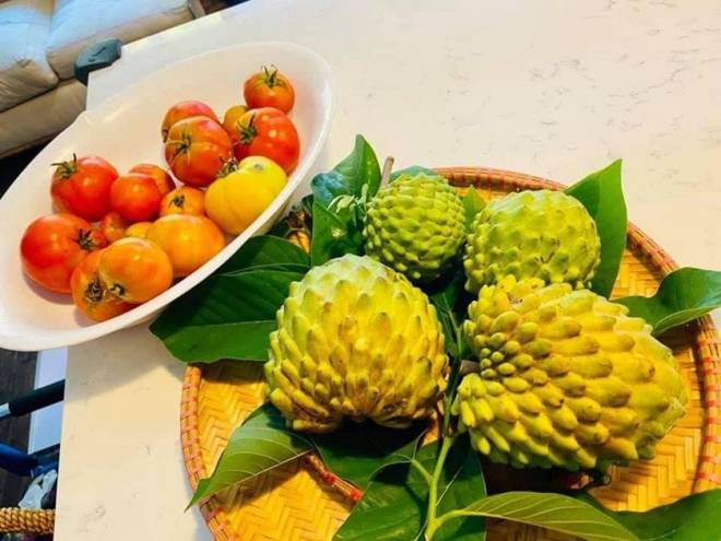 Bằng Kiều flex khu vườn rực rỡ tại biệt thự 2.000m2 của mình ở Mỹ-16