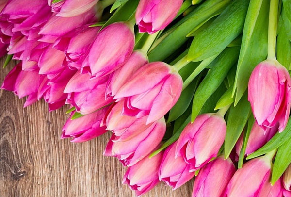 Xui xẻo lùi xa: 3 con giáp đầu tháng 3 công danh thăng tiến, bứt phá không ngừng-1