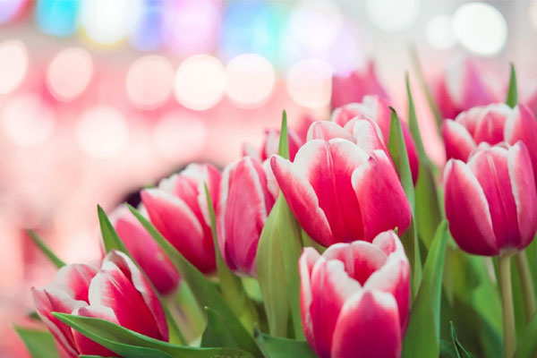 Xui xẻo lùi xa: 3 con giáp đầu tháng 3 công danh thăng tiến, bứt phá không ngừng-2