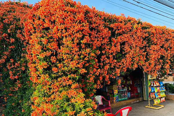 Con dâu tương lai của tỷ phú giàu nhất châu Á: Minh chứng cho câu nói giới thượng lưu chưa bao giờ chọn vợ bừa!-6