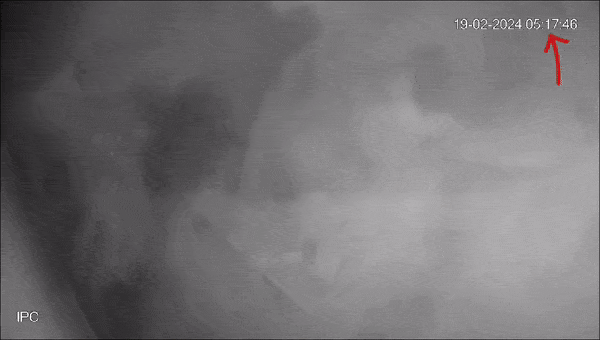 Rạng sáng gia chủ tá hoả khi phát hiện căn bếp ngập trong khói, thủ phạm là thứ hầu như nhà nào cũng dùng-2