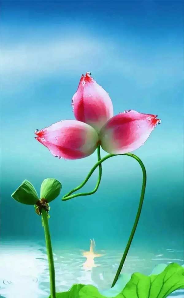 Mùa xuân phơi phới: 5 con giáp không còn sa sút, sự nghiệp nở rộ, thuận buồm xuôi gió trong tháng 3-1