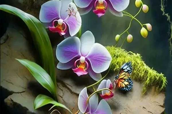 Người sinh ngày Âm lịch này không chỉ được quý nhân chiếu cố mà còn được Thần tài che chở, vài năm tới có tiền tiết kiệm trong tay-4