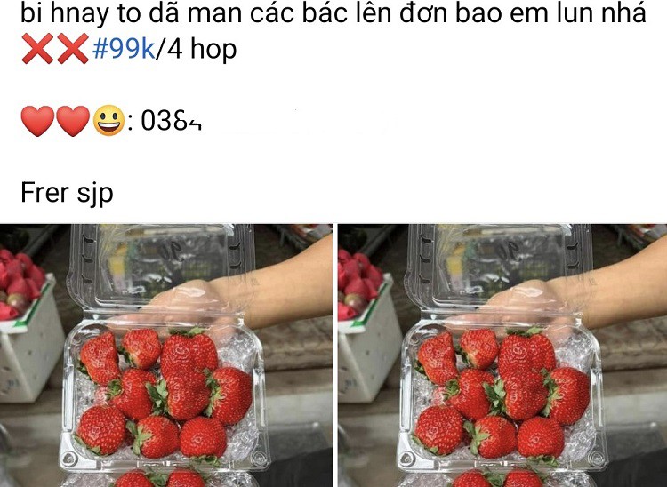 Dâu tây Mộc Châu bán ngập chợ với giá siêu rẻ”, chỉ từ 25 nghìn đồng/hộp-3