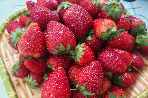 Nửa triệu đồng một buồng cau tươi ngày rằm tháng Giêng-5