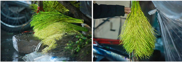 Nửa triệu đồng một buồng cau tươi ngày rằm tháng Giêng-4