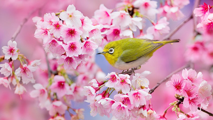 Trẻ sinh vào 5 ngày Âm lịch này thông minh hơn người, năm Giáp Thìn 2024 thi cử dẫn đầu-3