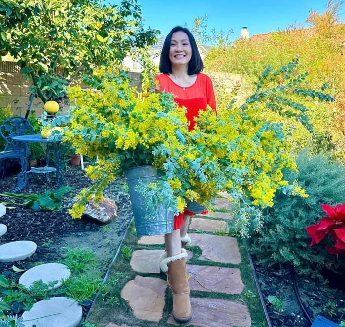 Biệt thự ở Mỹ như resort 5 sao của phú bà Hồng Đào phim Mai-1