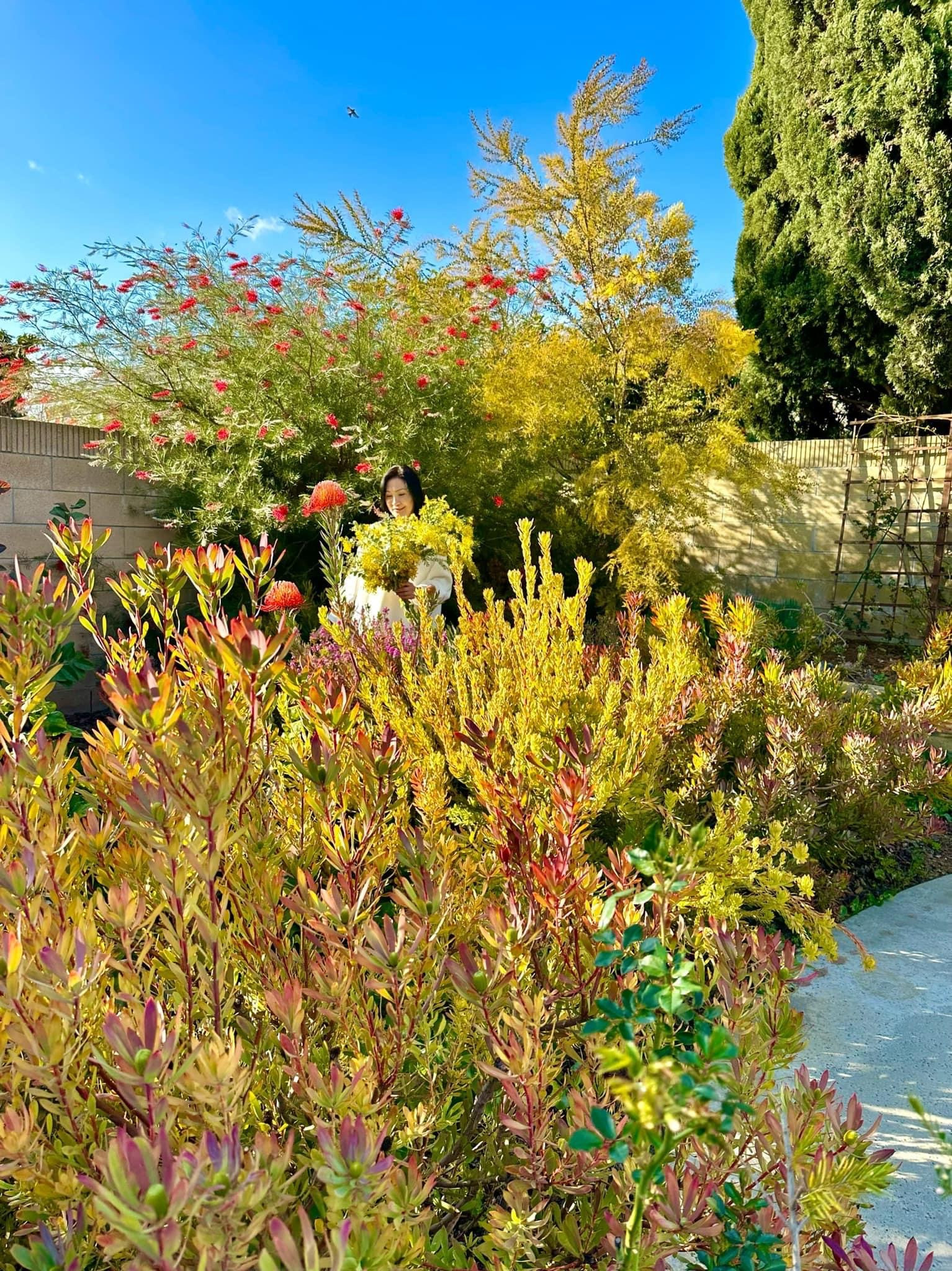 Biệt thự ở Mỹ như resort 5 sao của phú bà Hồng Đào phim Mai-6