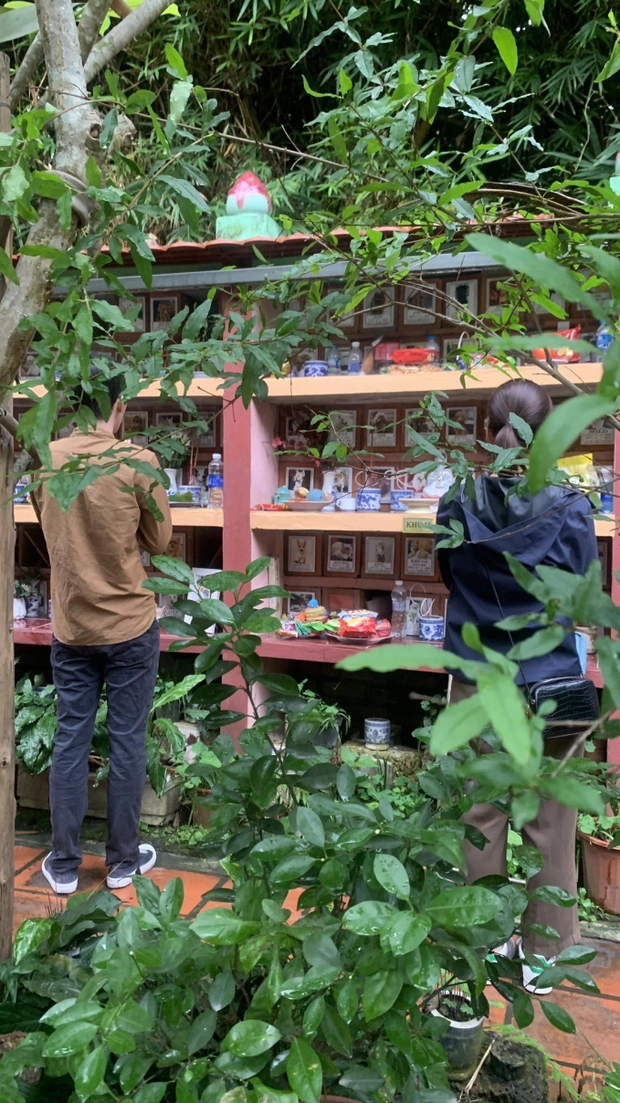 Dịch vụ an nghỉ cho thú cưng: Người trong nghề bần thần trước nhiều hình ảnh đau đớn, đứng trước mặt khách nhớ 1 điều tối kỵ!-1