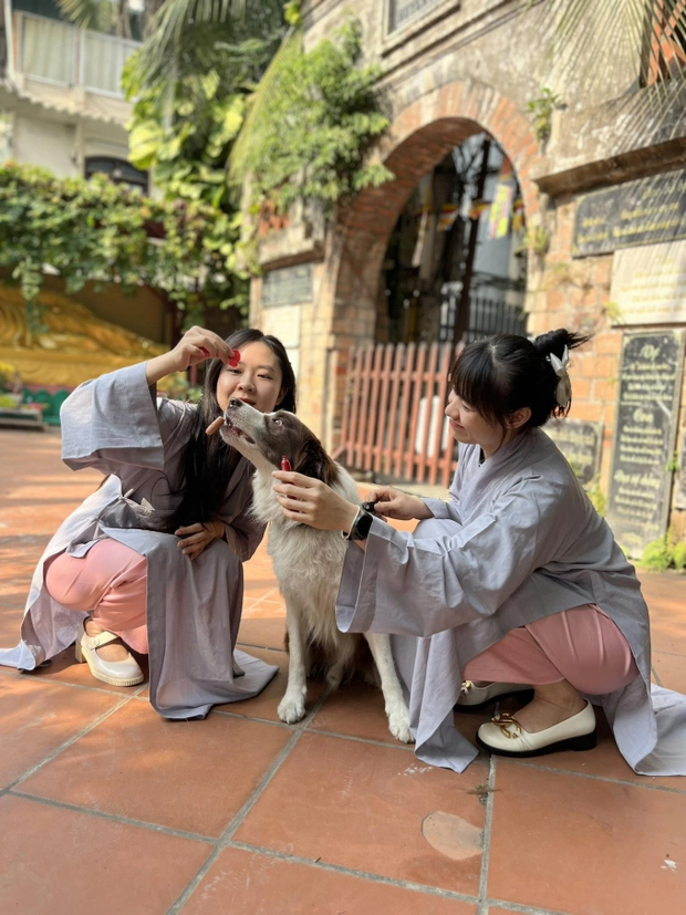 Dịch vụ an nghỉ cho thú cưng: Người trong nghề bần thần trước nhiều hình ảnh đau đớn, đứng trước mặt khách nhớ 1 điều tối kỵ!-2