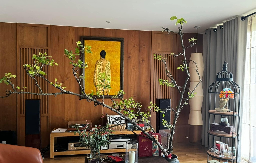 Biệt thự đậm chất Á Đông rộng 400m2 của ca sĩ Quang Dũng-4