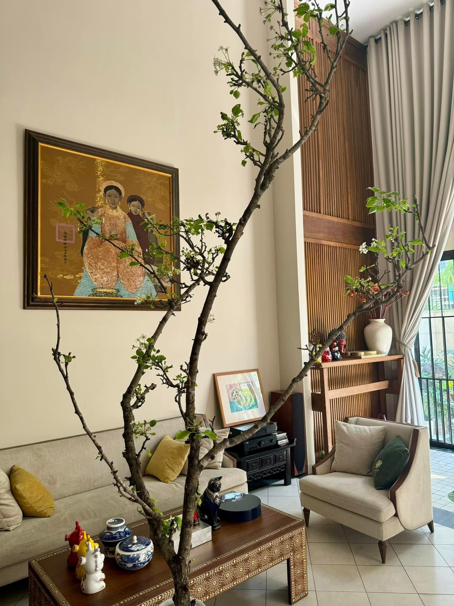 Biệt thự đậm chất Á Đông rộng 400m2 của ca sĩ Quang Dũng-5