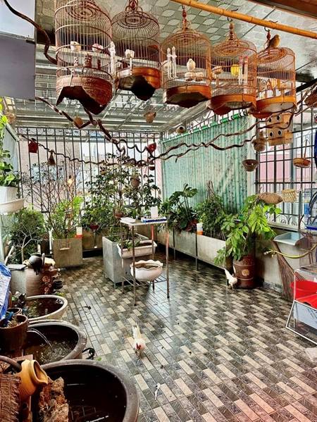 Cơ ngơi ngoài đời xịn sò của bà bán phở trong Đào, phở và piano”-6