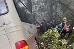 Clip: Khoảnh khắc xe khách chở 29 người lao xuống vực ở Tam Đảo-1