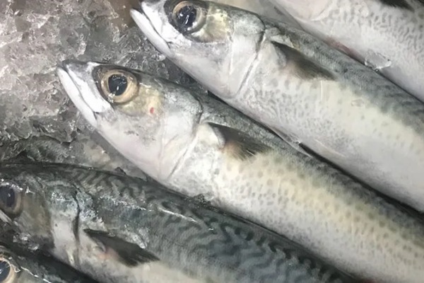 Loại hạt được ví như thần dược giá rẻ”, giúp kiểm soát đường huyết, tiêu hóa khỏe: Bán nhiều ở chợ Việt-4