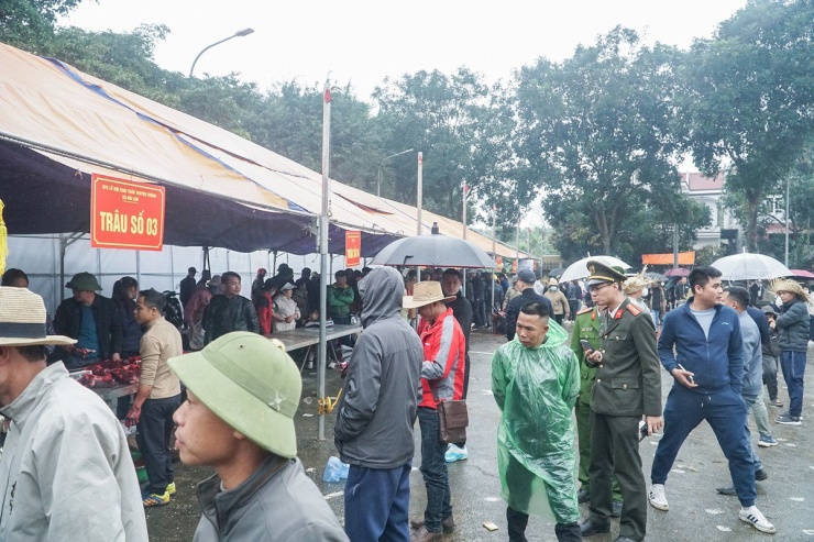 Nhiều người ùn ùn đi mua thịt trâu chọi giá tiền triệu ăn lấy may-1