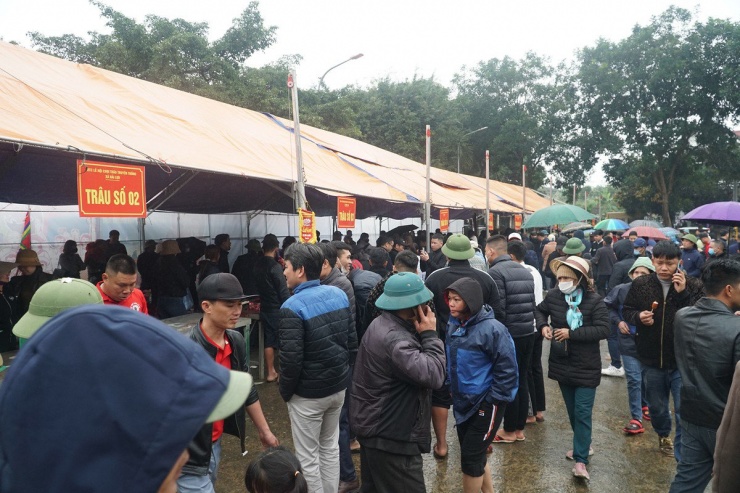 Nhiều người ùn ùn đi mua thịt trâu chọi giá tiền triệu ăn lấy may-6