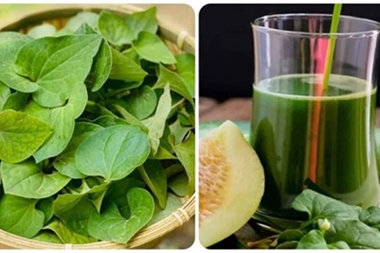 Ăn rau diếp cá mỗi ngày có tốt cho sức khoẻ?