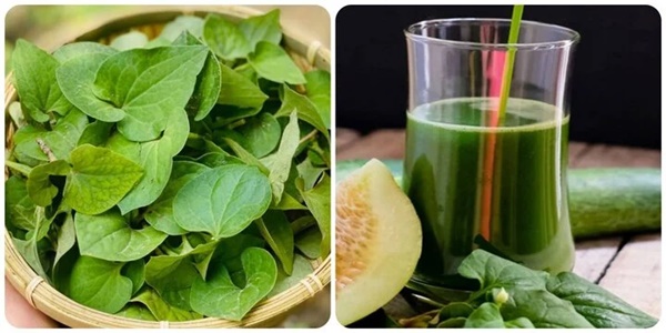 Ăn rau diếp cá mỗi ngày có tốt cho sức khoẻ?-1