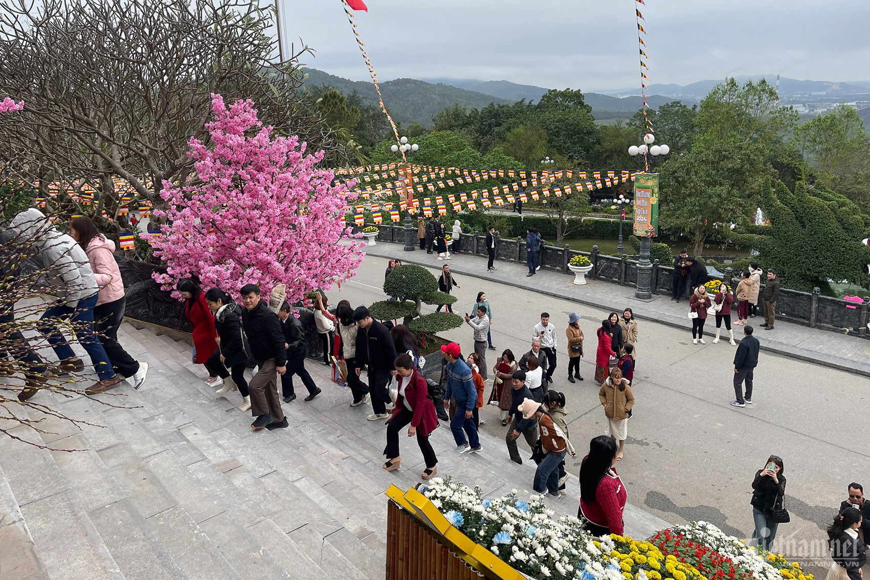 Cảnh hiếm thấy tại chùa Ba Vàng dịp đầu xuân-6