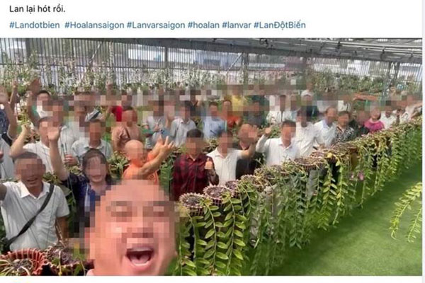 Bài học cay đắng của người từng ôm” 7 tỷ đồng, hùn vốn mua một chậu lan đột biến-5