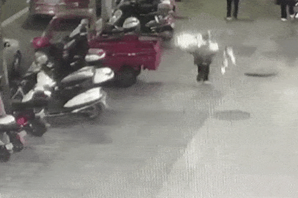 Clip: Pháo chở trên xe bất ngờ phát nổ, người đàn ông sợ hãi bỏ chạy-1