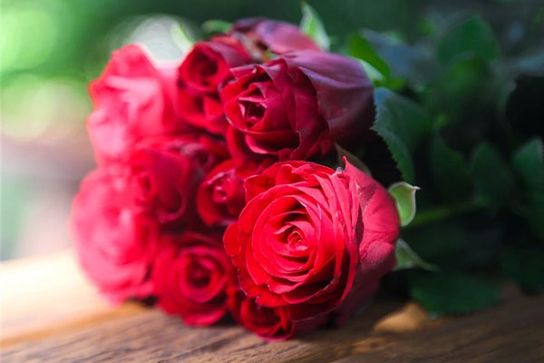 Lộc xuân may mắn: 4 con giáp đầu óc cực kỳ linh hoạt, sự nghiệp thăng tiến trong tháng 3-5