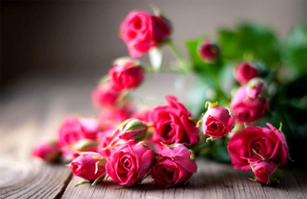 Đầu năm thắng lớn: 3 con giáp như rồng cưỡi mây, tháng 3 hút tiền vào túi-2