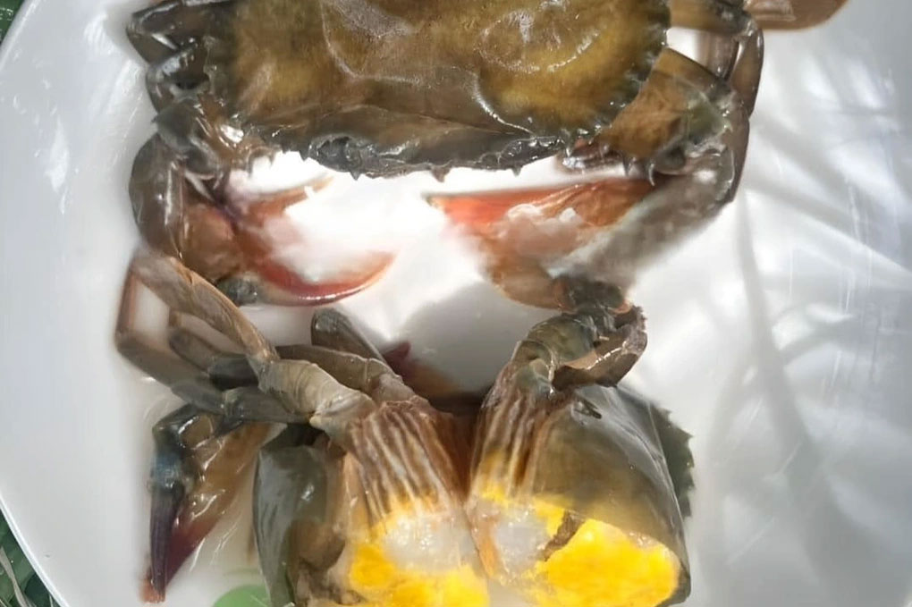 35.000 đồng/con cua mềm từ đầu tới chân, khóc cười mua hải sản online-1