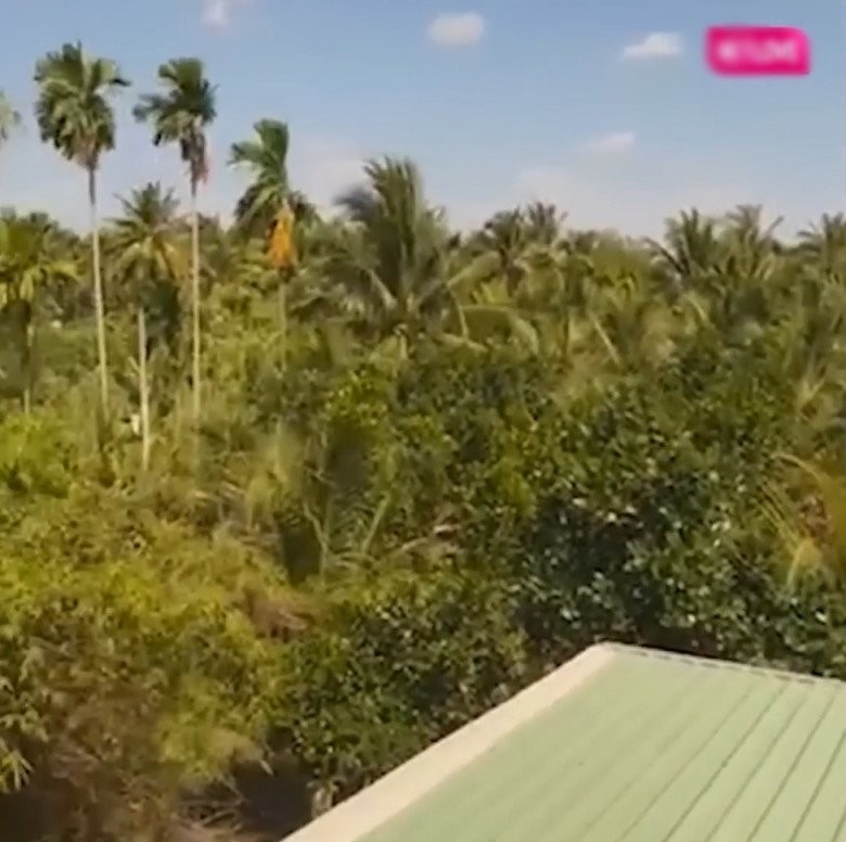 MC Quyền Linh khoe xây nhà khang trang cho mẹ ruột ở Tiền Giang, hút 5.000 người theo dõi livestream, khoe món quà tân gia độc lạ-22