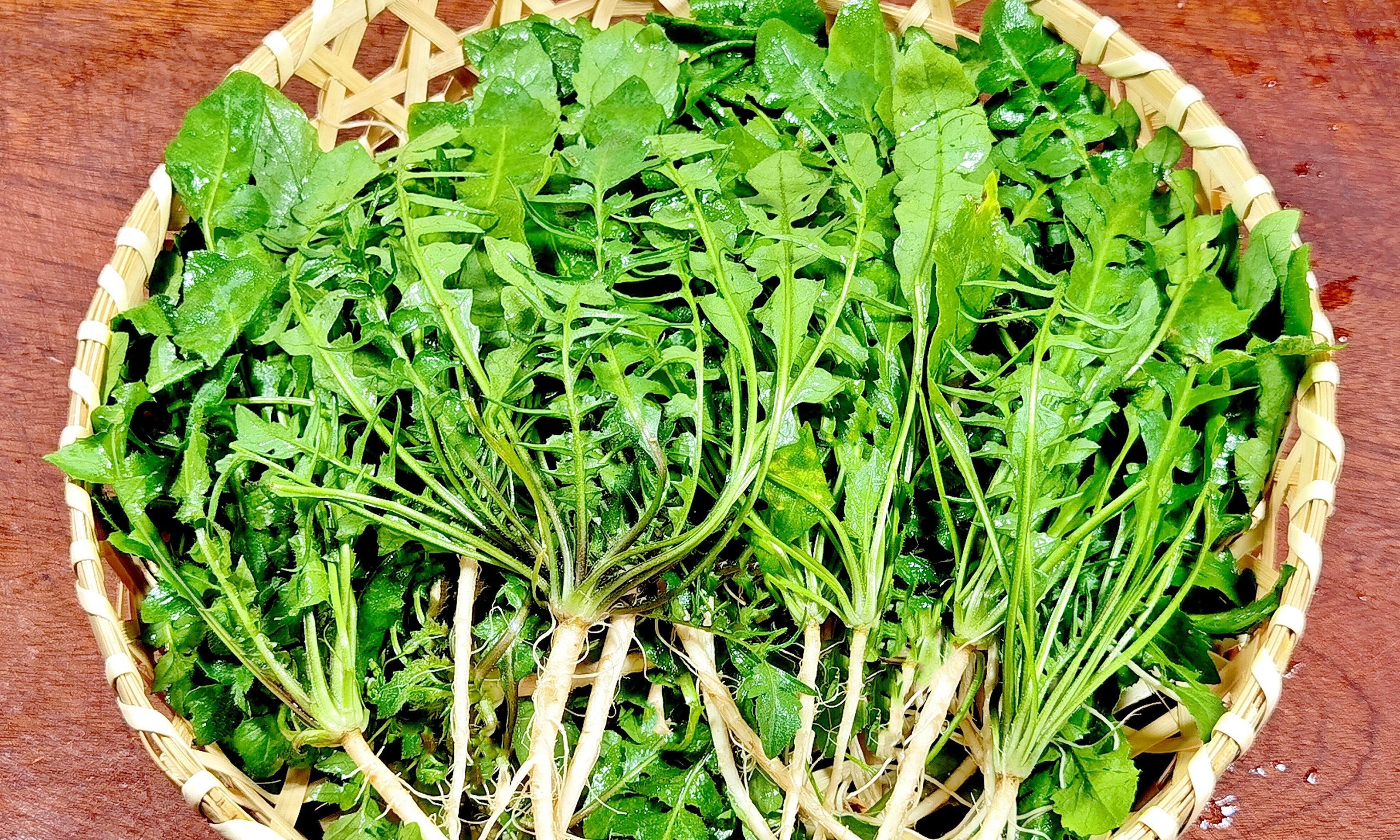 Loại rau dại tươi mới đầu tiên của mùa xuân, bổ hơn bắp cải, bổ hơn tỏi tây, làm bánh rất ngon-2