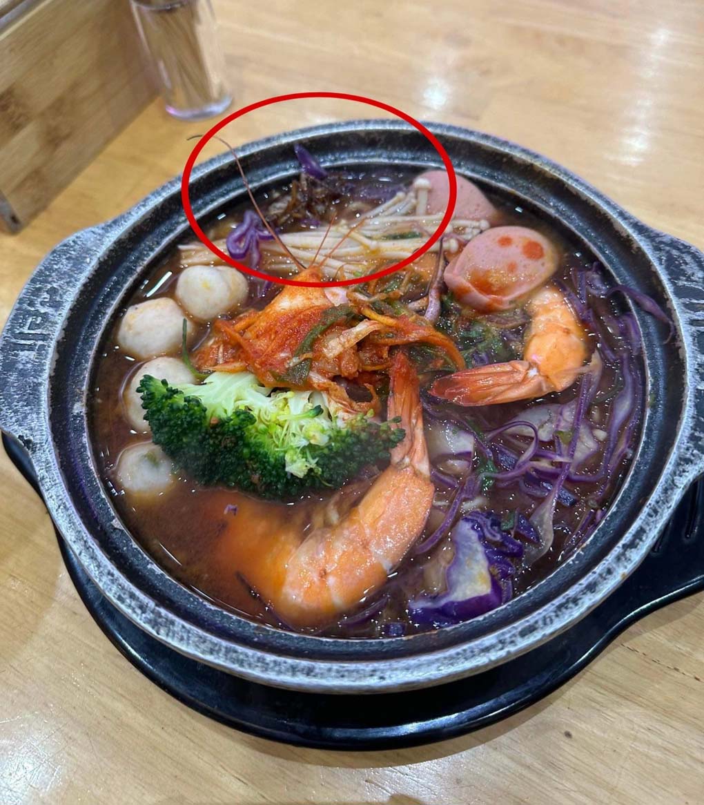 Hà Nội: Khách hoảng sợ phát hiện con gián phơi bụng trong bát mỳ-1