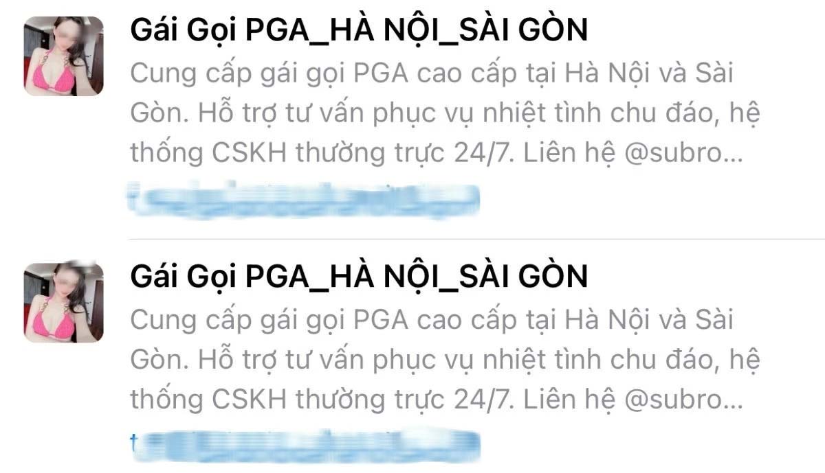 Lập nhóm Gái gọi PGA Hà Nội-Sài Gòn trên mạng xã hội để lừa đảo-2