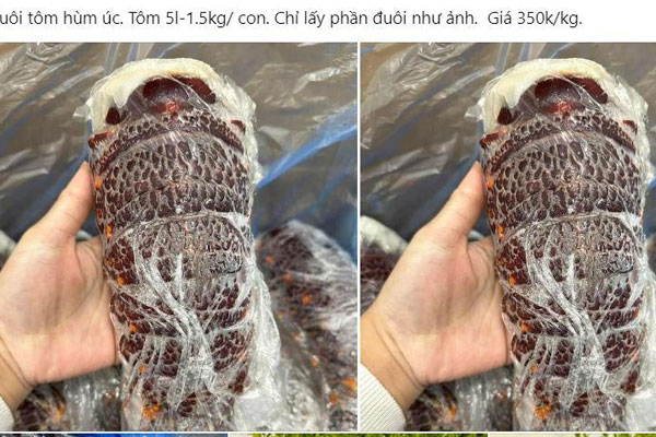 Dâu tây Sơn La đổ về chợ Hà Nội, giá chỉ từ 50.000 đồng/kg-3