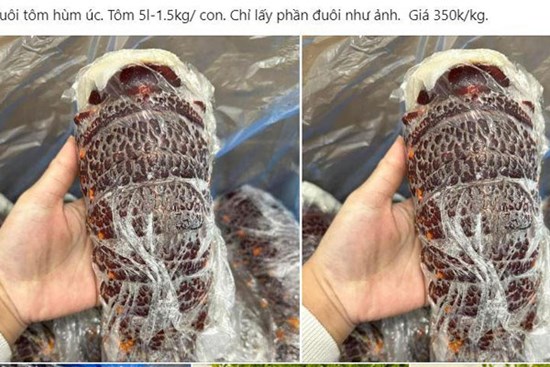 Đuôi tôm hùm Úc rao bán đầy chợ mạng, giá chỉ từ 350.000 đồng/kg