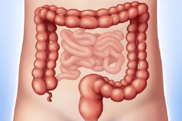 Cảnh báo ung thư đại trực tràng ngày càng trẻ hóa: Nguy cơ và cách phòng ngừa-1