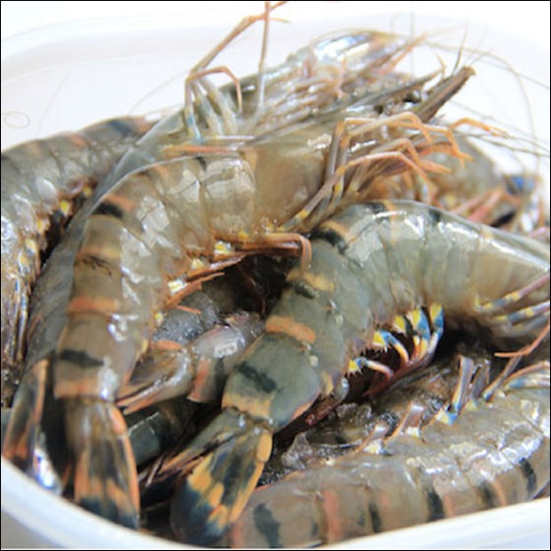 Tiết kiệm thời gian nấu nướng với món tôm rang muối ngon giòn đậm đà, ăn là mê-2