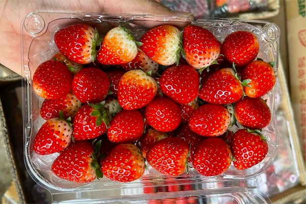 Dâu tây Sơn La đổ về chợ Hà Nội, giá chỉ từ 50.000 đồng/kg-1