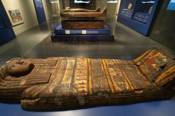 Đào được khúc gỗ, người đàn ông sốc với báu vật 650 tỷ đồng bên trong sau khi cắt lát-3