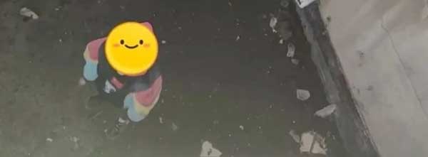 Cảnh sát tìm ra em bé tự kỷ mất tích nhờ nhạc phim hoạt hình-1