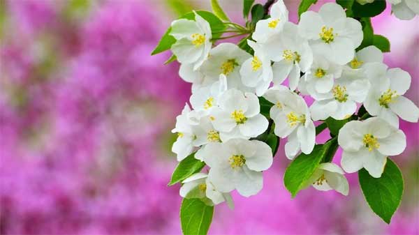 Ai sinh vào 4 ngày Âm lịch này, tháng 3 được Thần Tài chọn mặt gửi vàng, thu nhập nhảy vọt-1