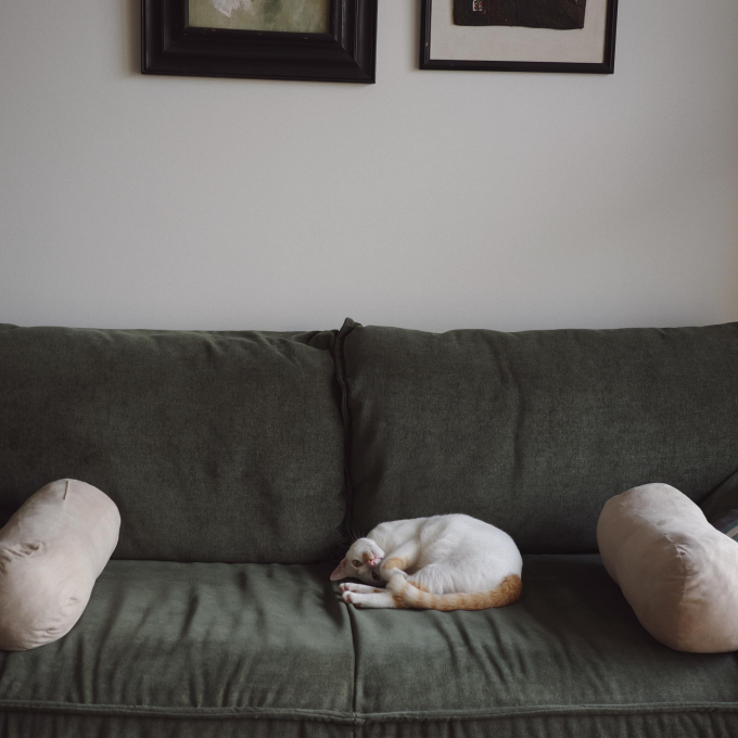 Khám phá căn hộ view sông Sài Gòn, vibe vô cùng thơ mộng của Hồ Thu Anh - linh cứu hoả xinh đẹp trong Đi về phía lửa-7