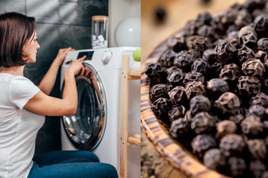 Thả một nắm tiêu đen vào máy giặt có công dụng gì?